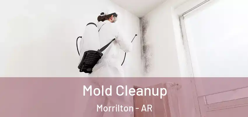  Mold Cleanup Morrilton - AR