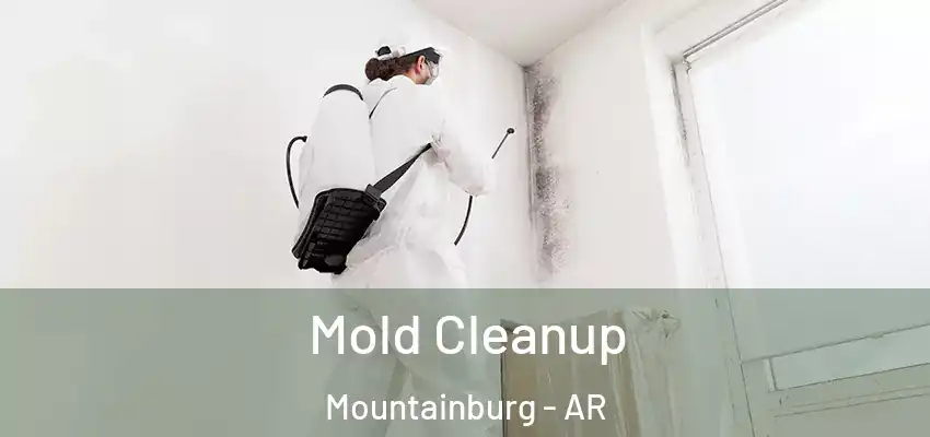  Mold Cleanup Mountainburg - AR