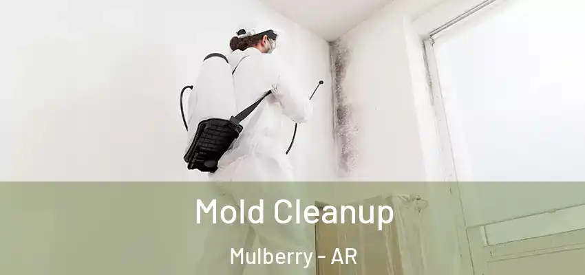  Mold Cleanup Mulberry - AR