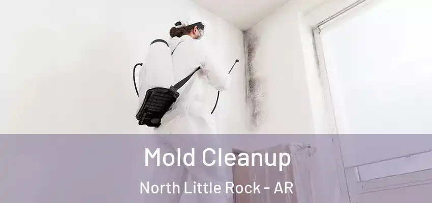  Mold Cleanup North Little Rock - AR