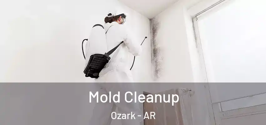  Mold Cleanup Ozark - AR