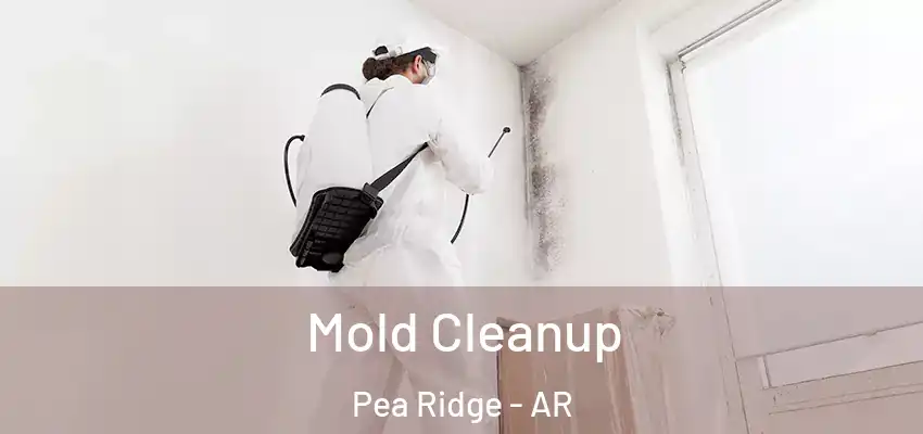 Mold Cleanup Pea Ridge - AR