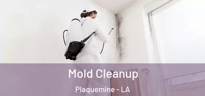 Mold Cleanup Plaquemine - LA