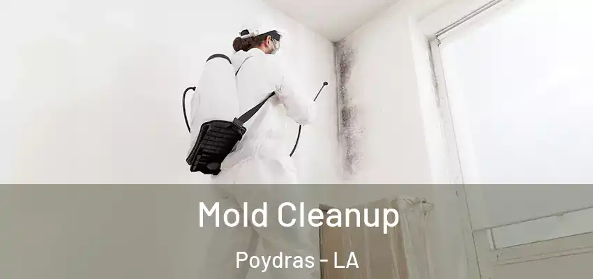  Mold Cleanup Poydras - LA