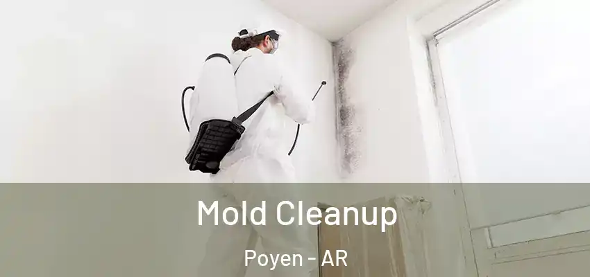  Mold Cleanup Poyen - AR