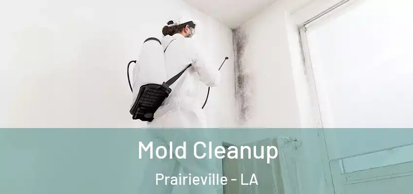  Mold Cleanup Prairieville - LA