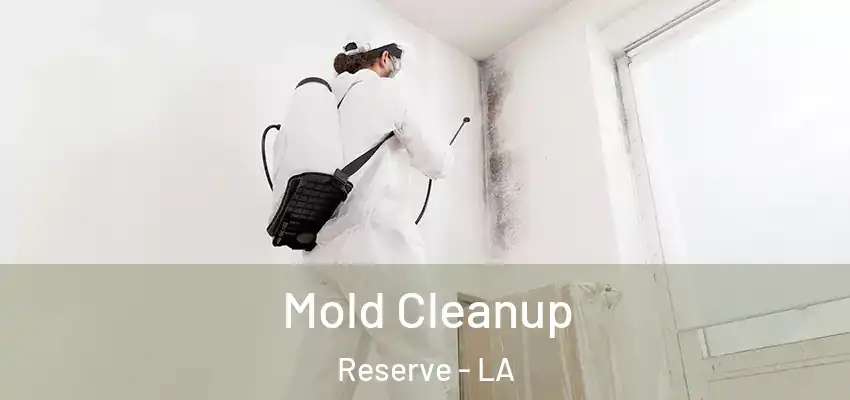  Mold Cleanup Reserve - LA