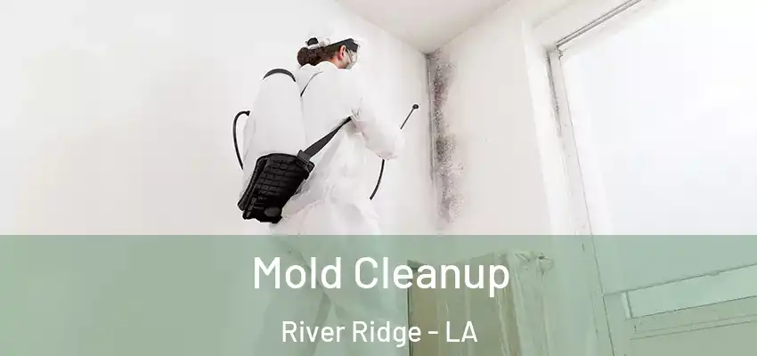  Mold Cleanup River Ridge - LA