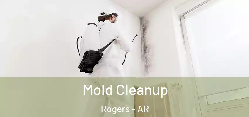 Mold Cleanup Rogers - AR