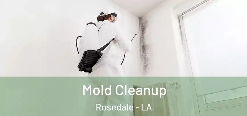 Mold Cleanup Rosedale - LA