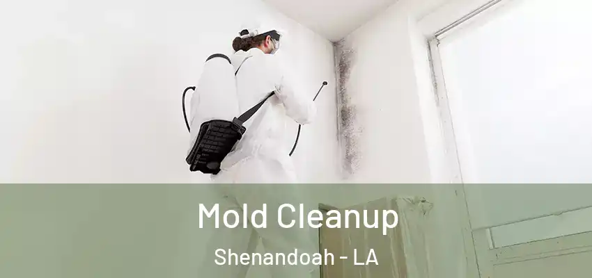  Mold Cleanup Shenandoah - LA