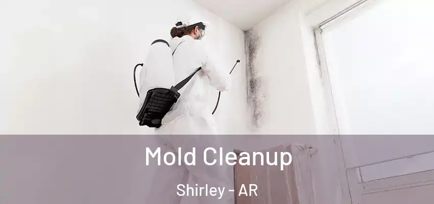  Mold Cleanup Shirley - AR
