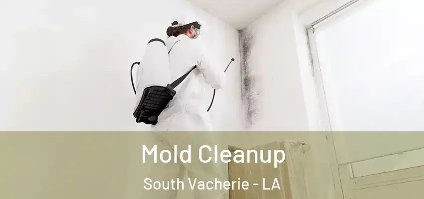  Mold Cleanup South Vacherie - LA