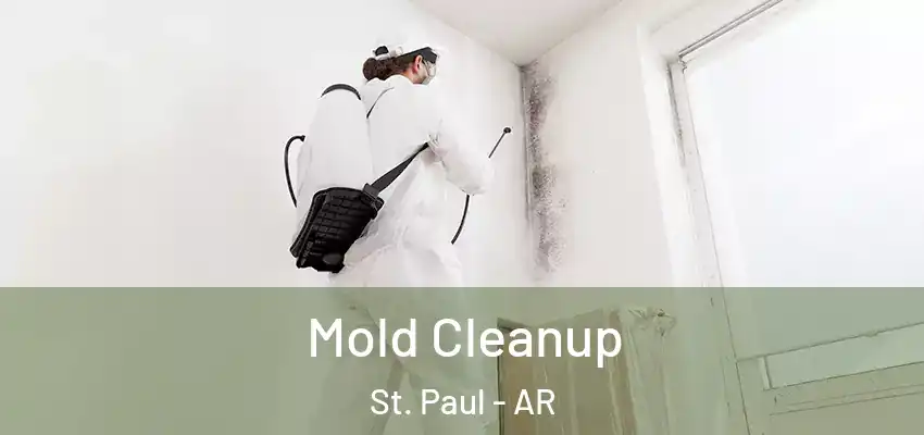 Mold Cleanup St. Paul - AR