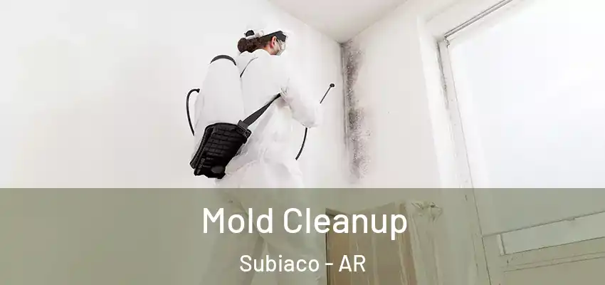 Mold Cleanup Subiaco - AR
