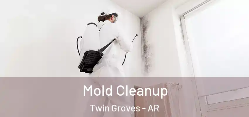  Mold Cleanup Twin Groves - AR