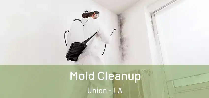 Mold Cleanup Union - LA