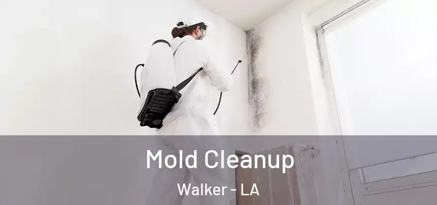 Mold Cleanup Walker - LA