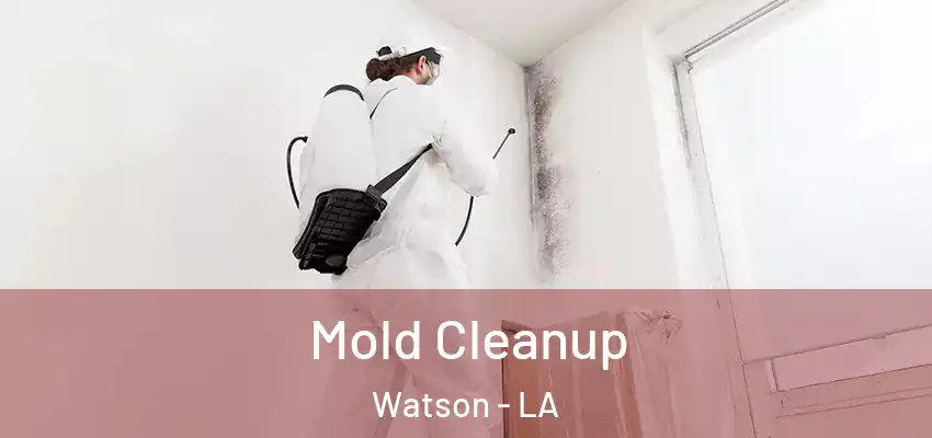 Mold Cleanup Watson - LA