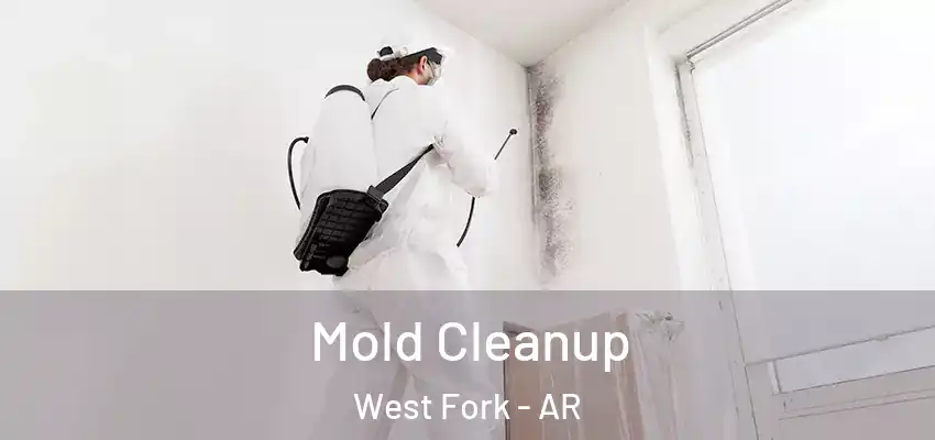 Mold Cleanup West Fork - AR