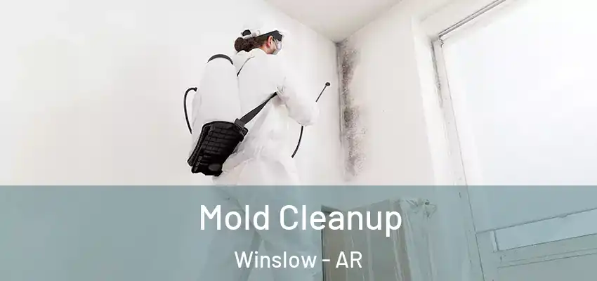  Mold Cleanup Winslow - AR