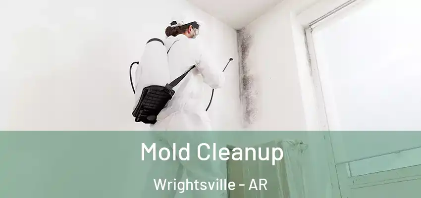  Mold Cleanup Wrightsville - AR