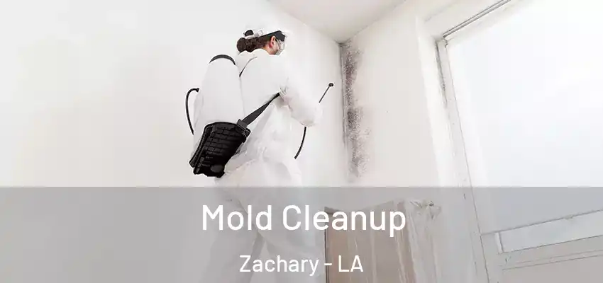 Mold Cleanup Zachary - LA