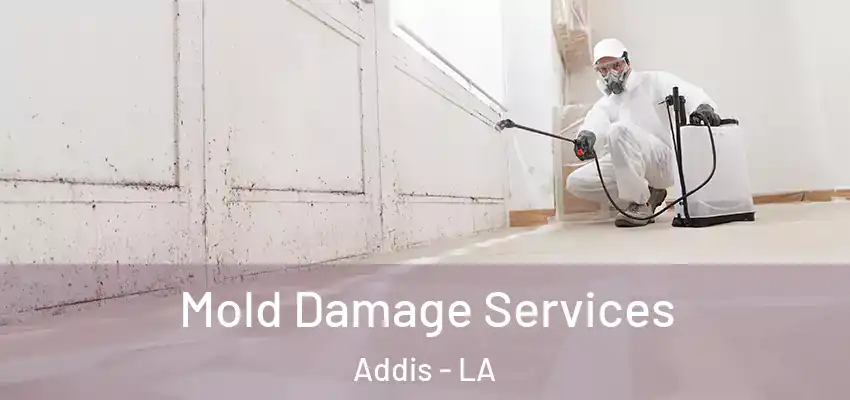  Mold Damage Services Addis - LA