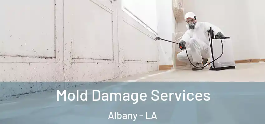 Mold Damage Services Albany - LA