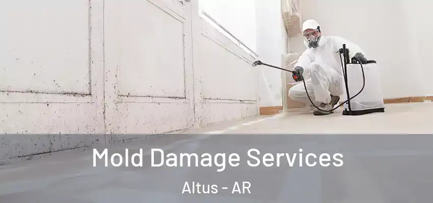  Mold Damage Services Altus - AR