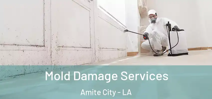 Mold Damage Services Amite City - LA