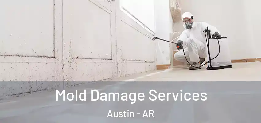  Mold Damage Services Austin - AR