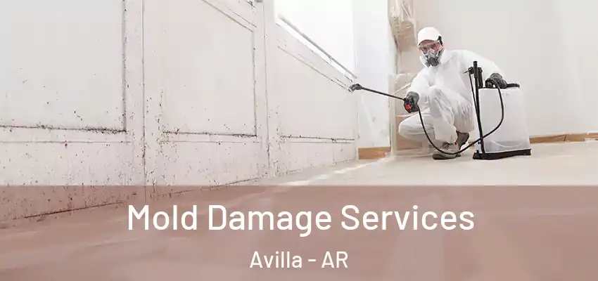  Mold Damage Services Avilla - AR