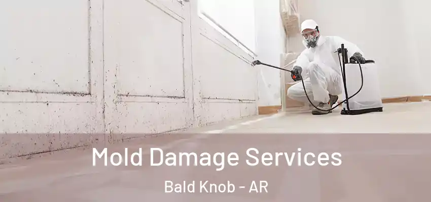  Mold Damage Services Bald Knob - AR