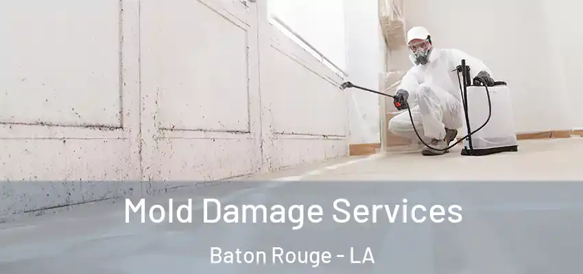 Mold Damage Services Baton Rouge - LA