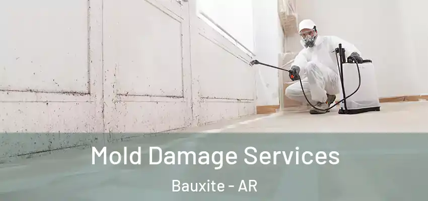  Mold Damage Services Bauxite - AR