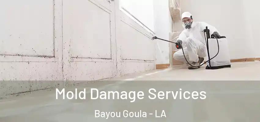  Mold Damage Services Bayou Goula - LA