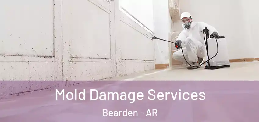  Mold Damage Services Bearden - AR