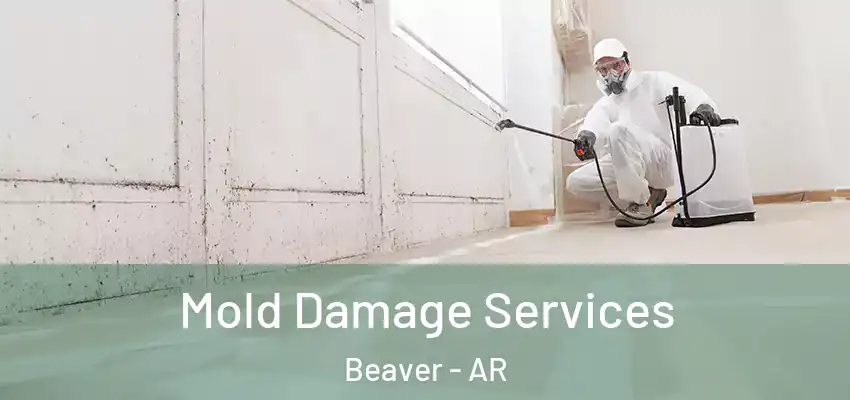  Mold Damage Services Beaver - AR