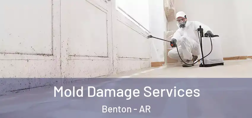  Mold Damage Services Benton - AR