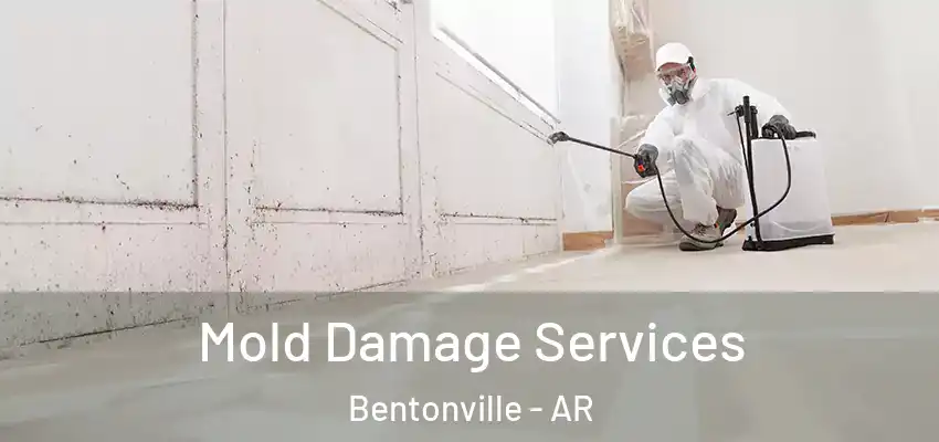  Mold Damage Services Bentonville - AR