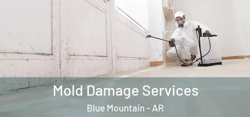  Mold Damage Services Blue Mountain - AR