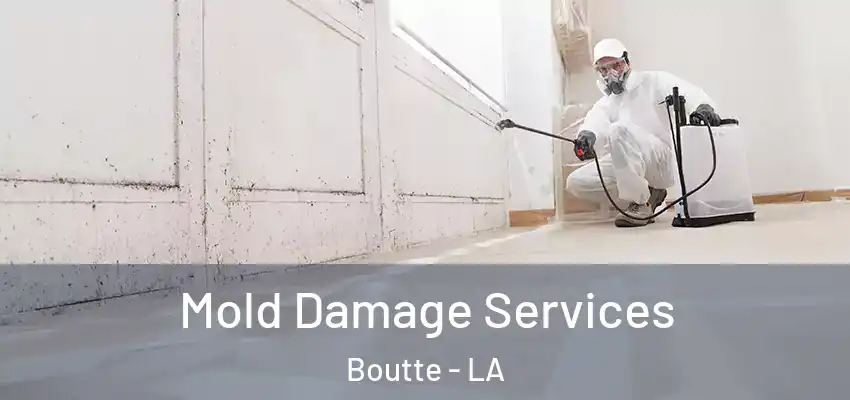 Mold Damage Services Boutte - LA