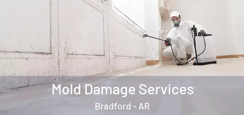  Mold Damage Services Bradford - AR