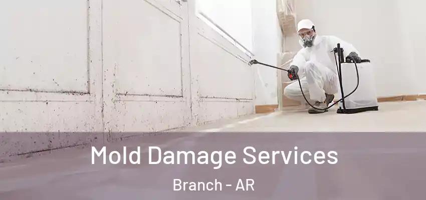  Mold Damage Services Branch - AR