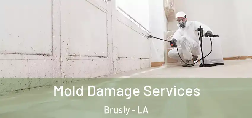  Mold Damage Services Brusly - LA