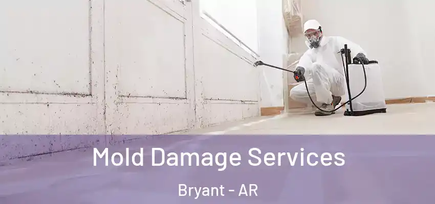  Mold Damage Services Bryant - AR