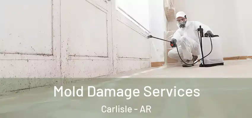  Mold Damage Services Carlisle - AR