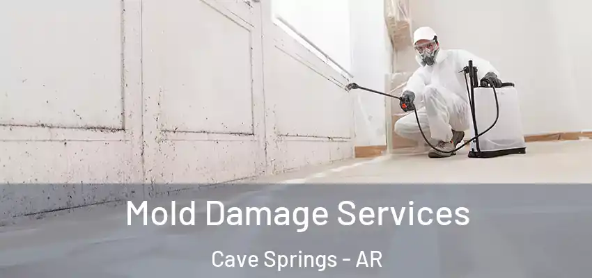  Mold Damage Services Cave Springs - AR