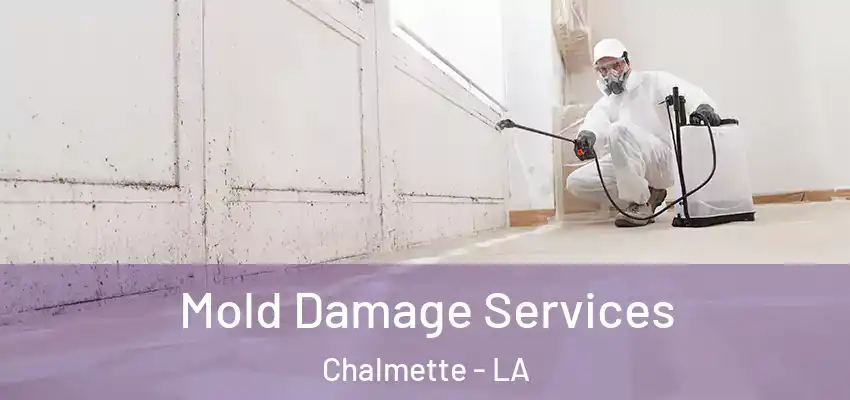  Mold Damage Services Chalmette - LA